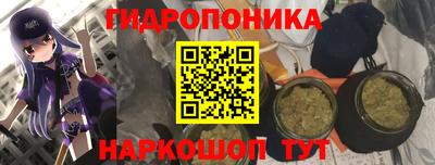 метадон Новозыбков