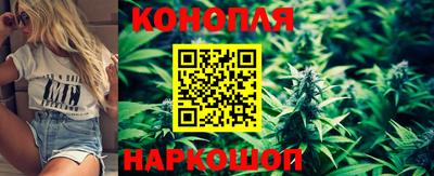 Альфа ПВП Новокубанск