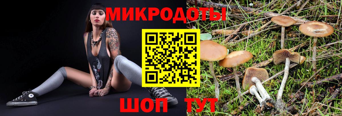 Галлюциногенные грибы прущие грибы  наркошоп  Стрежевой  Галлюциногенные грибы прущие грибы  Вход с VPN 