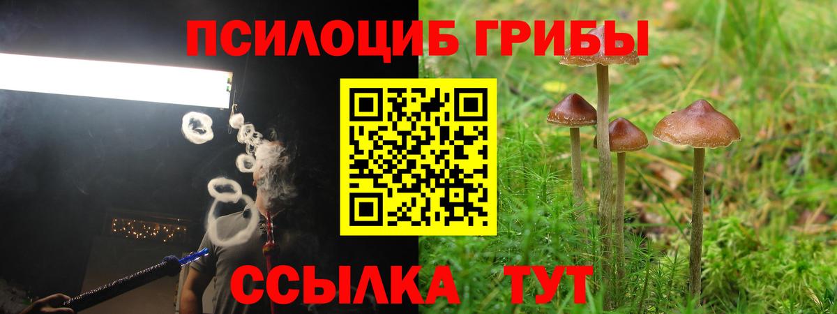 Галлюциногенные грибы мицелий Стрежевой
